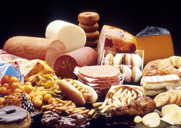 Ученые: «Жирная» диета может предотвратить развитие рака