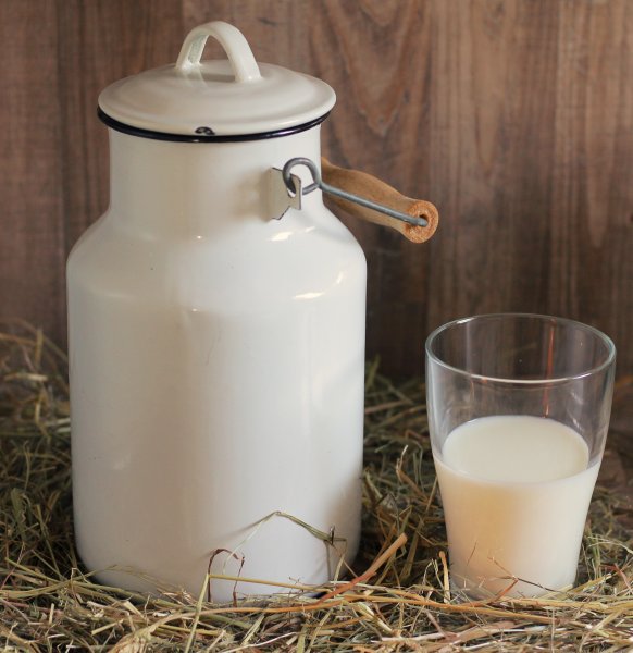 Роскачество запретило называть молоко с растительным жиром молоком