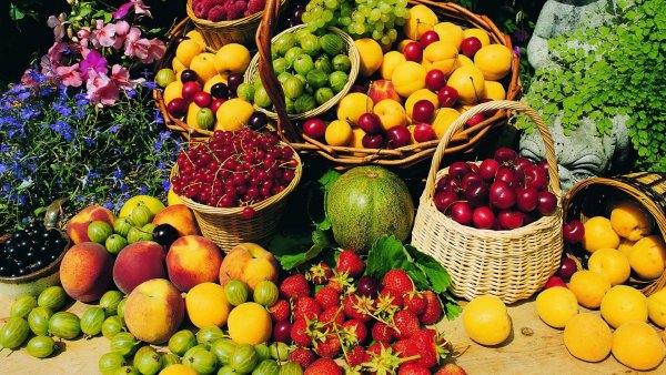 Ученые: Многие фрукты и ягоды вредны для организма