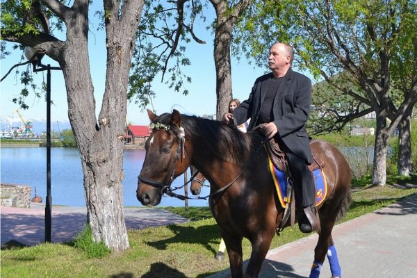 Камчатскому депутату отказали в месте для «парковки» коня