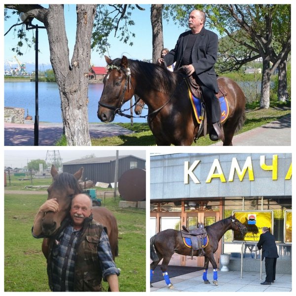 Камчатскому депутату отказали в месте для «парковки» коня
