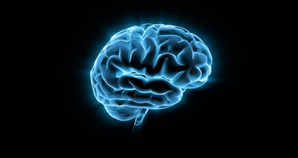 Ученые из США смогли определить уровень повреждения мозга с помощью анализа крови