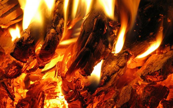 Ученые заподозрили неандертальцев в умении добывать огонь с помощью огнива