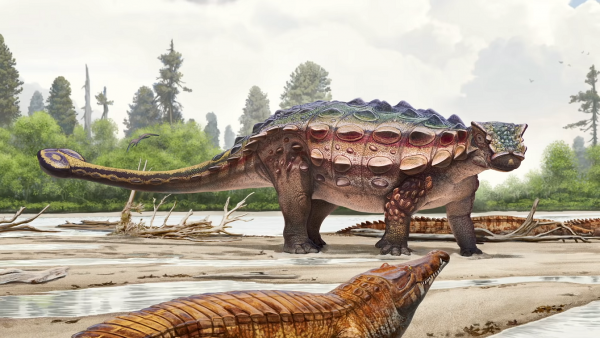 Ученые открыли новый вид бронированных динозавров