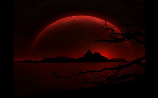 Астрономы рассказали, где лучше всего наблюдать за «кровавой Луной»