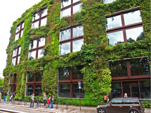 Для уменьшения стрессов психологи рекомендуют озеленить города