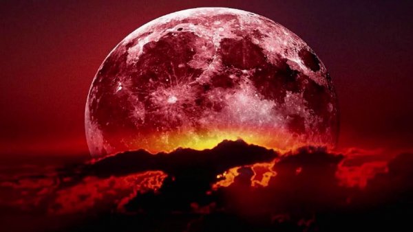 «Кровавая Луна»: Астрологи назвали точную дату следующего полного лунного затмения