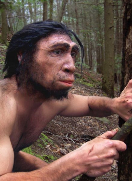 Антропологи: Лень – причина вымирания первых людей
