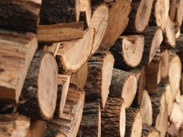 Ученые создали из полимеров огнестойкую древесину
