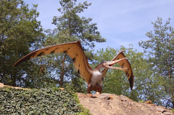 Птерозавра-пеликана назвали самым крупным летающим позвоночным позднего триаса