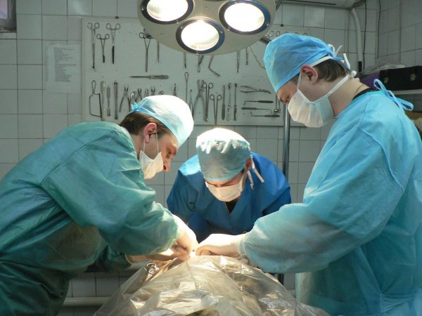 Московские медики удалили пациенту опухоль в животе весом более 20 кг