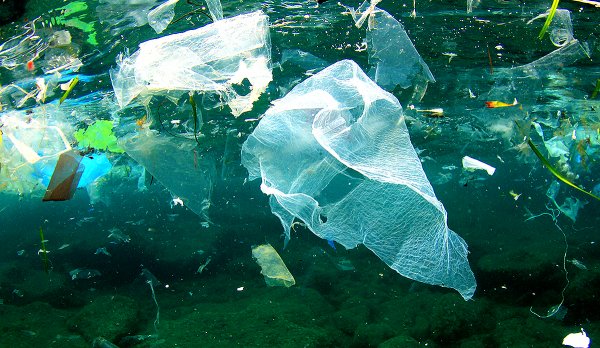 Компания Ocean Cleanup запустила систему по очистке Тихого океана от пластика
