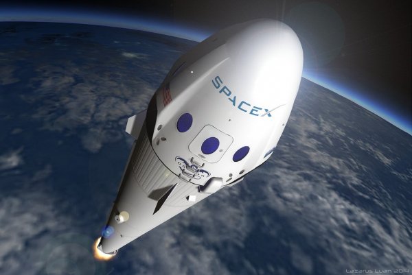 Менеджеры Space X выбрали первого космического туриста для полёта на Луну
