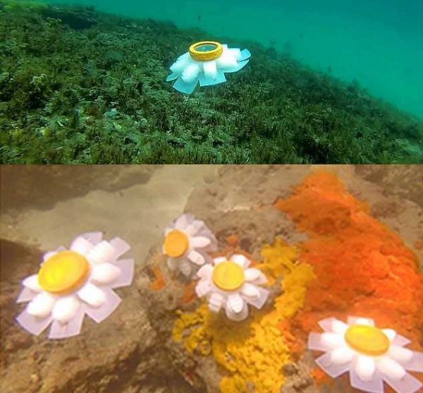 «Хранитель океанов»: Робо-медуза будет защищать слабые экосистемы