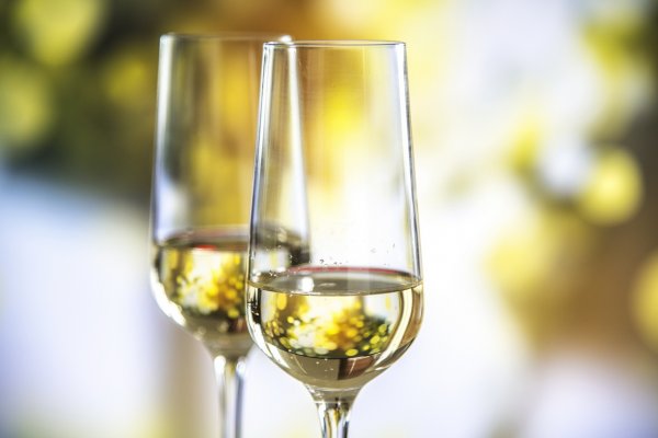 Вино без похмелья: В Великобритании продают инновационный вид алкоголя