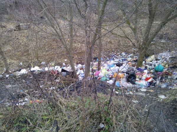 Саратовские чиновники «отфотошопили» мусорник