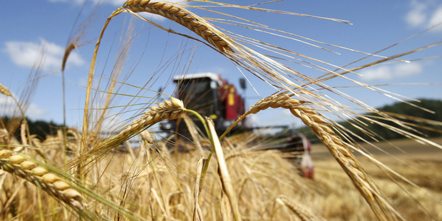 В Тюменской области аграрный сектор продемонстрировал рост