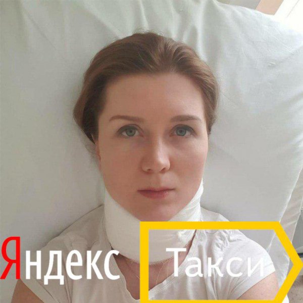 «Животный» сервис: Яндекс.Такси не несет никакой ответственности за аварии по вине водителя