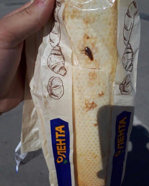 Членистоногая вкусняшка. Житель Волгограда купил в «Ленте» хлеб с тараканом